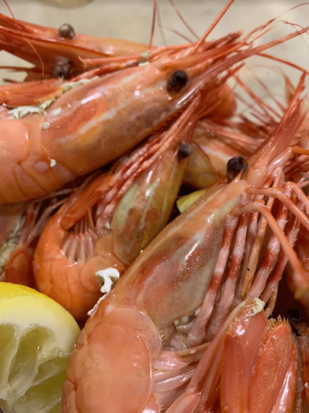 boiled spot prawns close up view