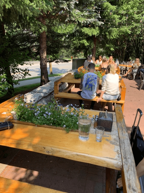 patio in the back with pansies flowers