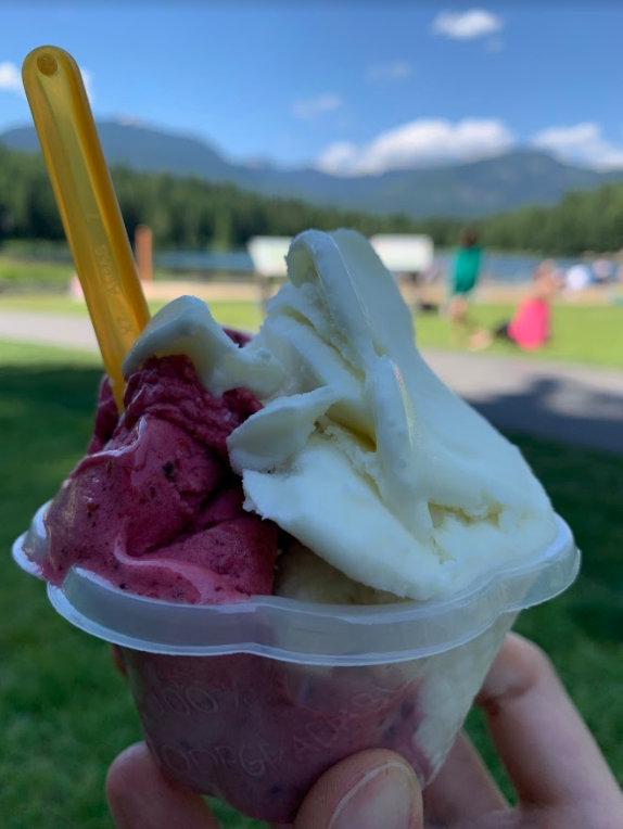 mixed berry and pina colada ice cream