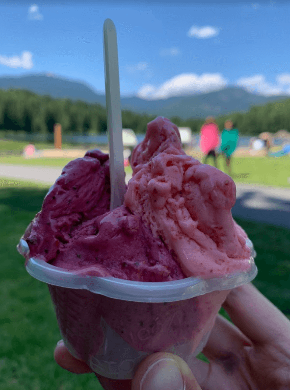 raspberry lime and mixed berry ice cream