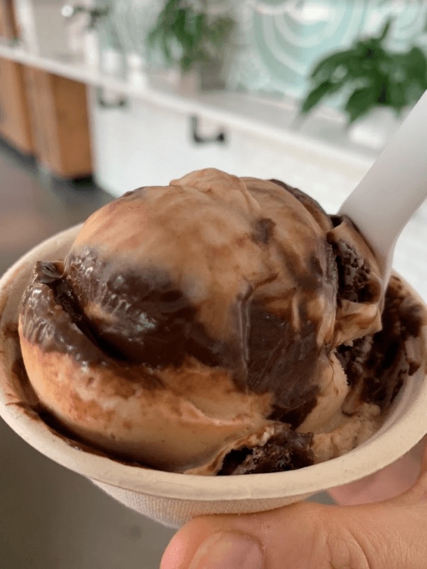 vegan peanut butter chocolate ripple ice cream