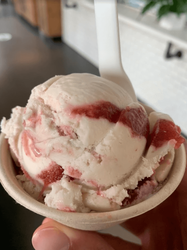 vegan strawberry rhubarb ice cream