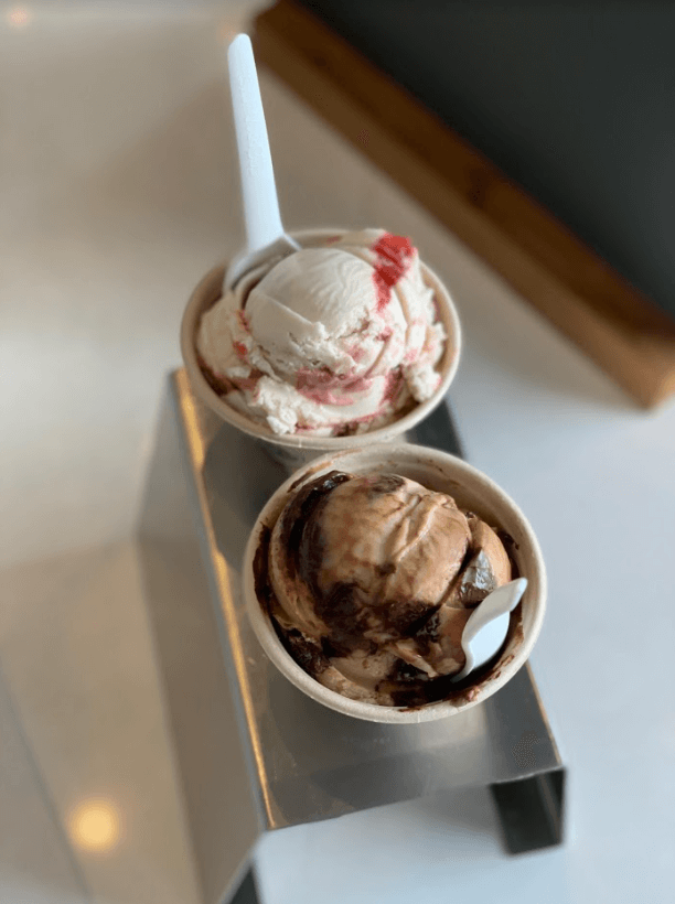 vegan peanut butter chocolate ripple and vegan strawberry rhubarb ice cream