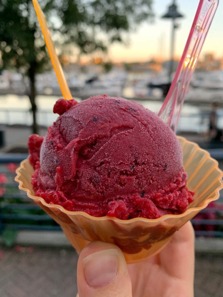 sour mixed berry sorbet from Bella Napoli