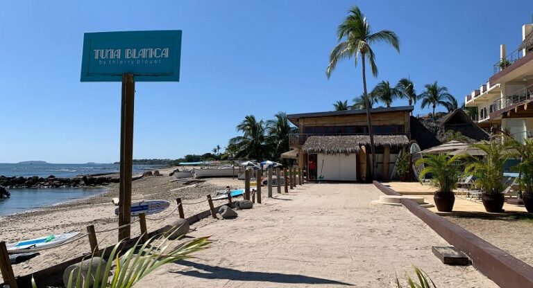 Read more about the article Tuna Blanco Punta Mita