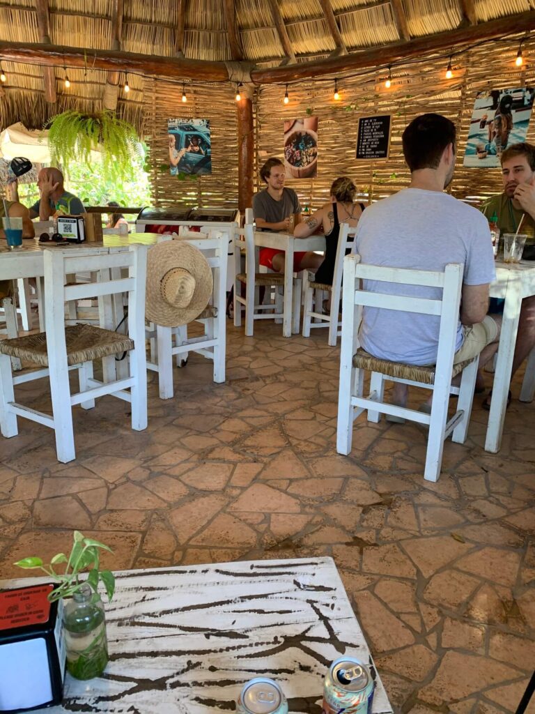 view inside Organi-k Sayulita