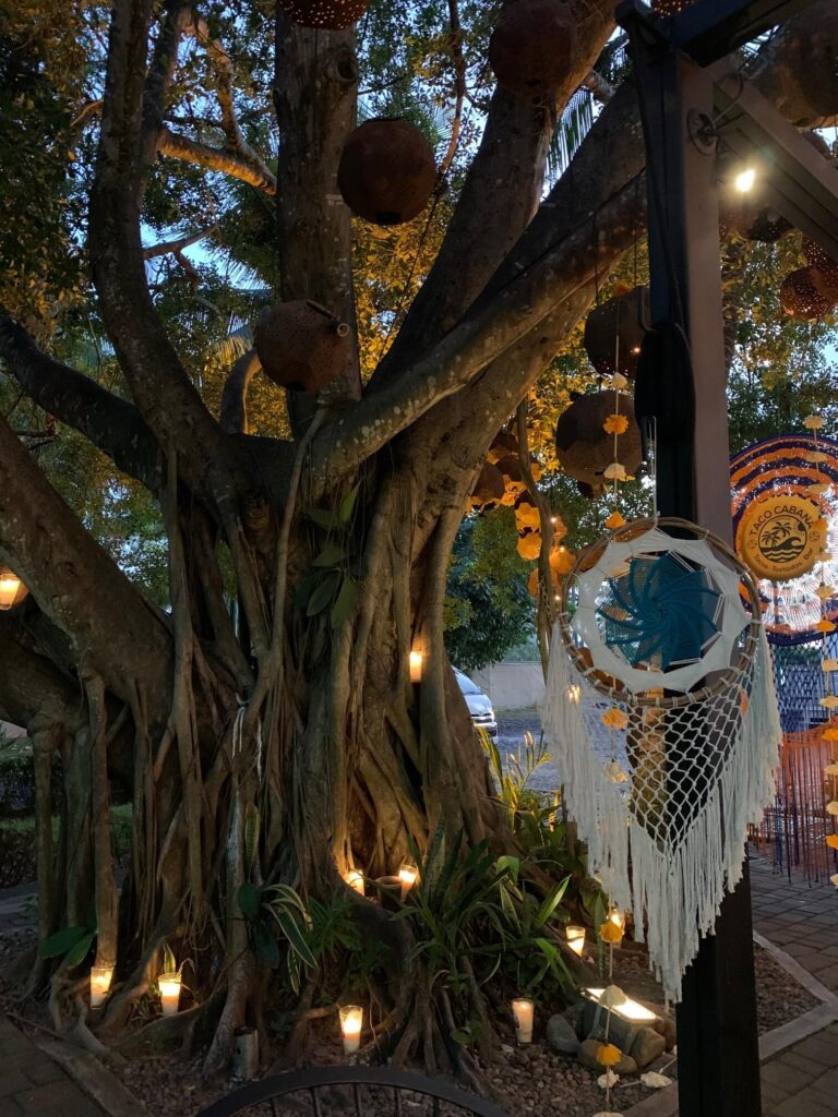 a tree decorated with lights at Taco Cabana Nuevo Vallarta