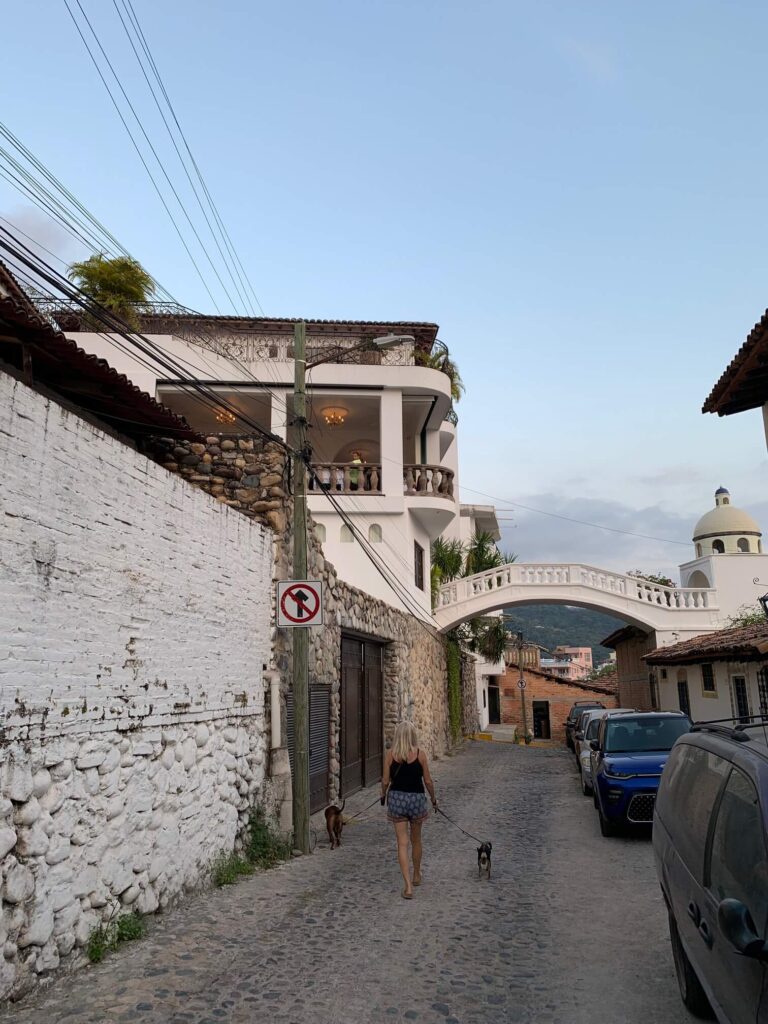 pathway leading to Iguana Restaurant Puerto Vallarta